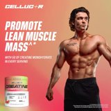 Cellucor Creatine Performance Watermelon 50 Servings