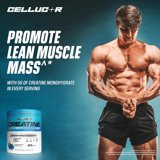 Cellucor Creatine Performance Blue Raspberry 50 Servings